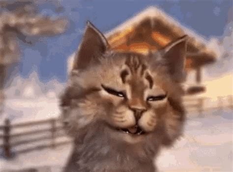 cat meowing animated gif
